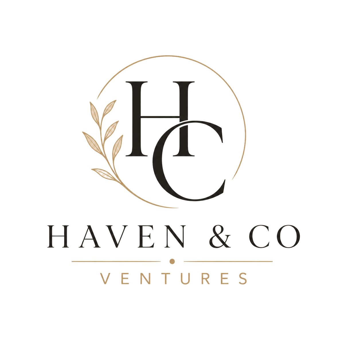 Haven & Co Ventures